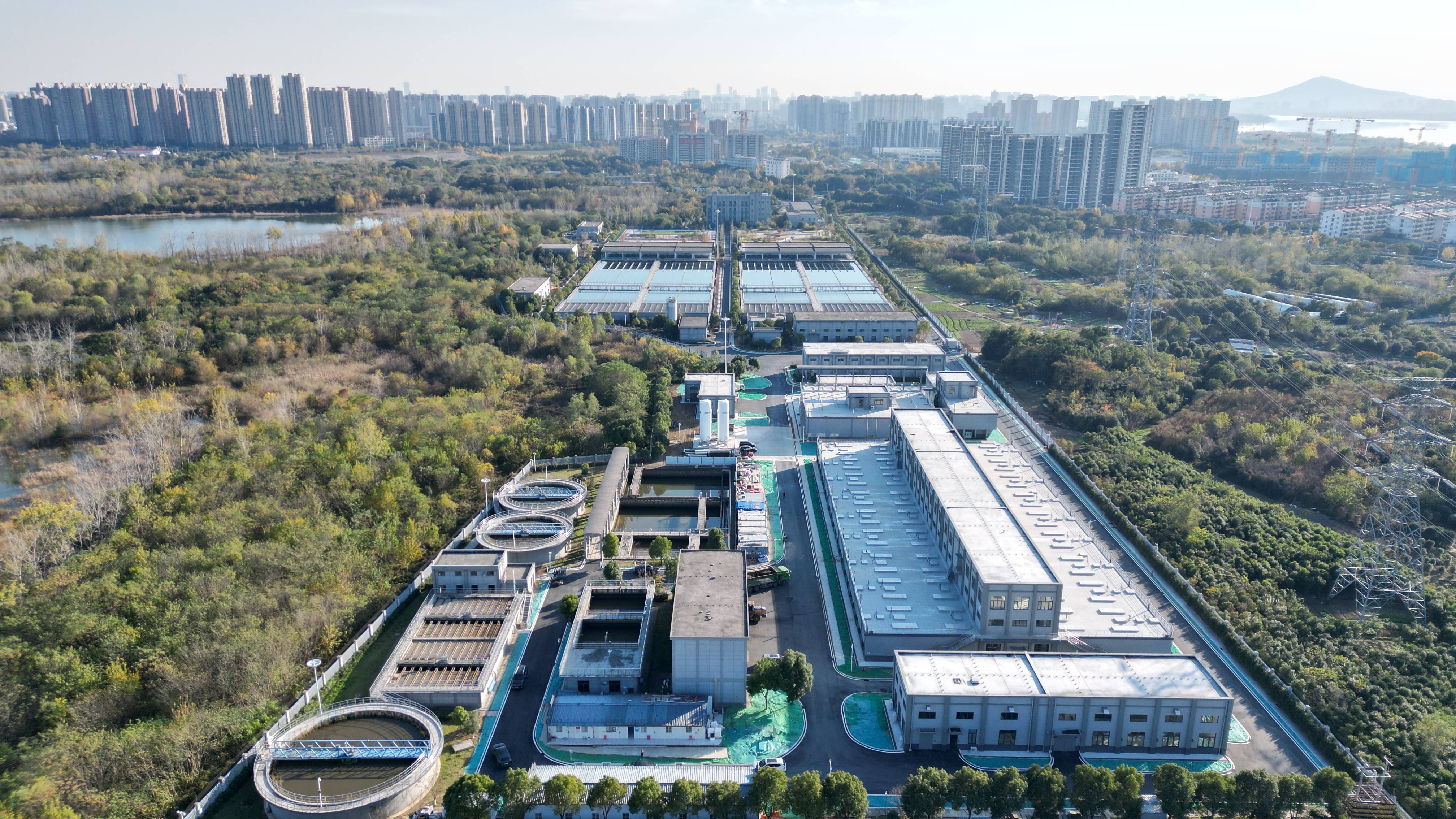 辽源市合肥专业企业价值增长(合肥市重点企业产业目录)