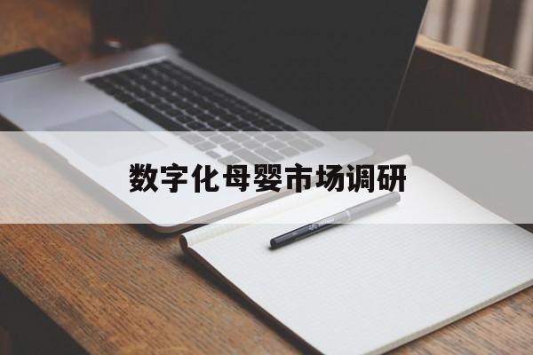 辽源市数字化母婴市场调研(数字化母婴市场调研报告)